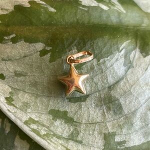 14k solid gold puffy star charm!
